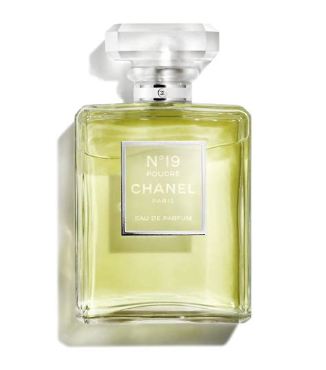 is chanel no 19 discontinued|perfume Chanel n 19 poudre.